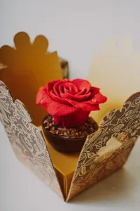 Rosa de chocolate