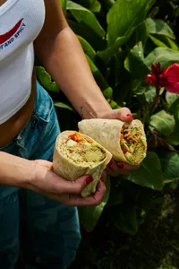 Classic Falafel Snack