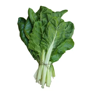 Semilla Acelga verde penca blanca 500 gr