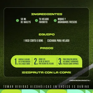 Licor de crema Baileys Botella 750ml