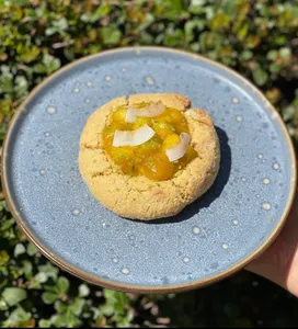 Galleta Tropical