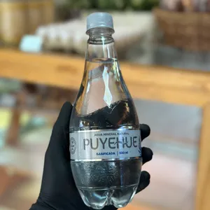 Agua Puyehue