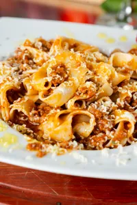 Bolognesa