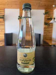 Agua mineral con gas 330 cc