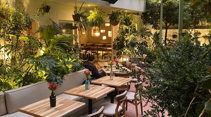 Vane Vane Restaurant