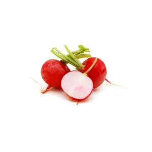 PAQUETE RABANOS (100 UN)