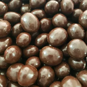 Pasita Chocolate Sin Azucar