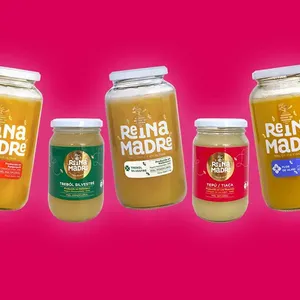 Miel ulmo reina madre 500 gr