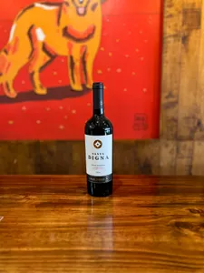 Botella Santa digna carmenere