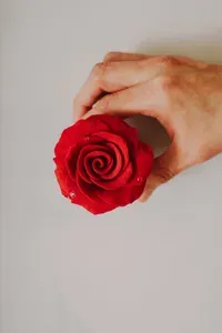 Rosa de chocolate