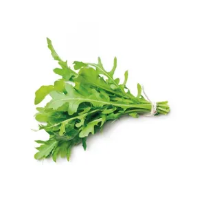 RUCULA KG