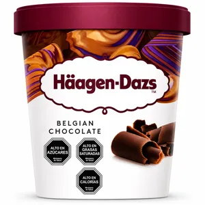 Helado Haagen Daz Chocolate Belga 100ml