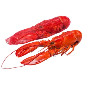 Langosta