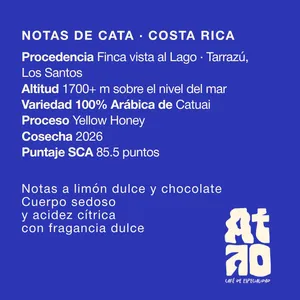 PACK FILTRADOS