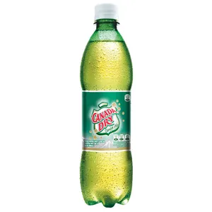 Ginger Ale 400 Ml