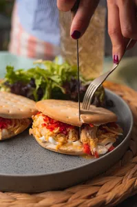 Carne mechada 1 kilo pollo