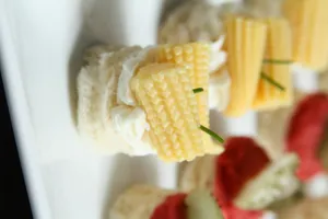 Surtidos de canapé doble molde 25un