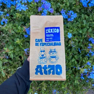 🇲🇽 MÉXICO | Trincheras