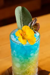 Herbal Punch