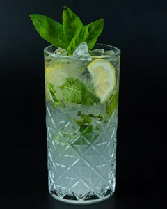 Mojito Tradicional