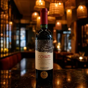 Ensamblaje Emiliana Coyam Botella