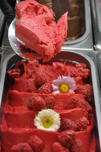 Rosa del Año y Frambuesas de Atacama 550 ml