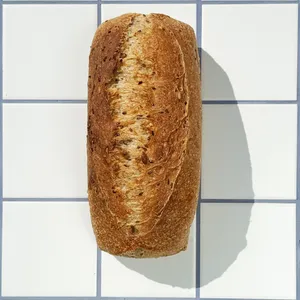 Molde Semi Integral Multisemillas