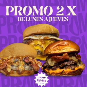 PROMO 2X $15.990