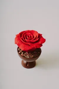 Rosa de chocolate