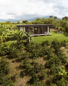 Kit Moara x Felicidad