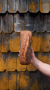 Pan Integral con semillas