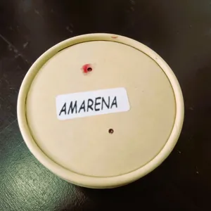 Helado Amarena