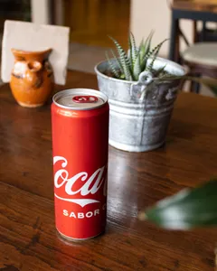 Coca Original 355ml
