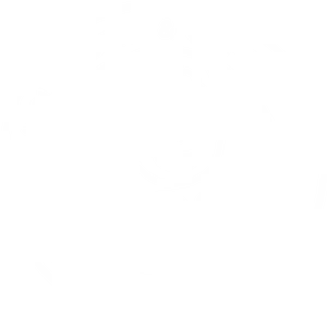 Logo de Heladeria Maxi
