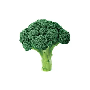 BROCOLI (1 UN)