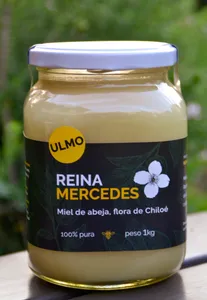 Miel de Ulmo 1 kilo