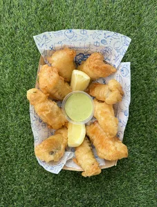 Fish Box M