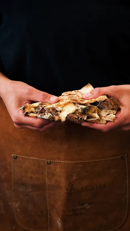 Panini Mechada Luco