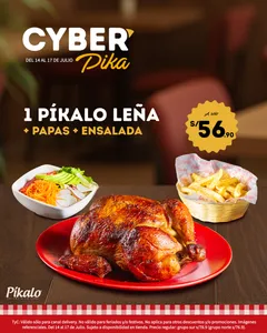 Cyber 1 Pollo