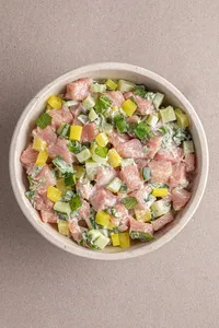 Donburi Toro Special