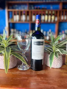 Santa Ema Select Terroir Rva. Merlot 350cc