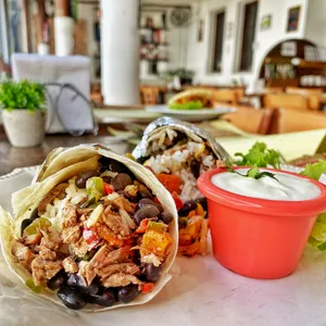 Vegan wrap