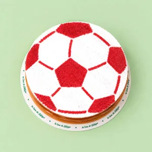 pelota de futbol