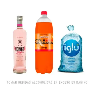 Pack (1 Vodka Vernost Pink X 750 Ml + 1 Bebida Carbonatada Fontlife Sabor Guaraná Botella X 2 Lts + 1 Hielo Iglu Bolsa X 1.5 Kg)