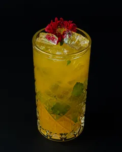 Mojito Maracuya