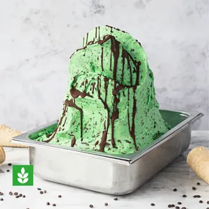 Menta Chip