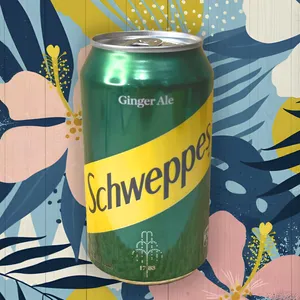 Schweppes Ginger Ale 350Ml Normal