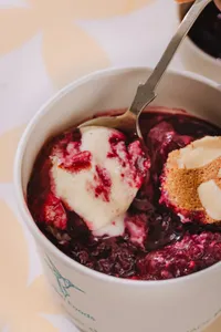 Cheesecake Vasco de Berries Low Carb