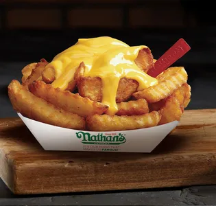 Cheese Fries