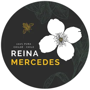 Logo de Reina Mercedes
